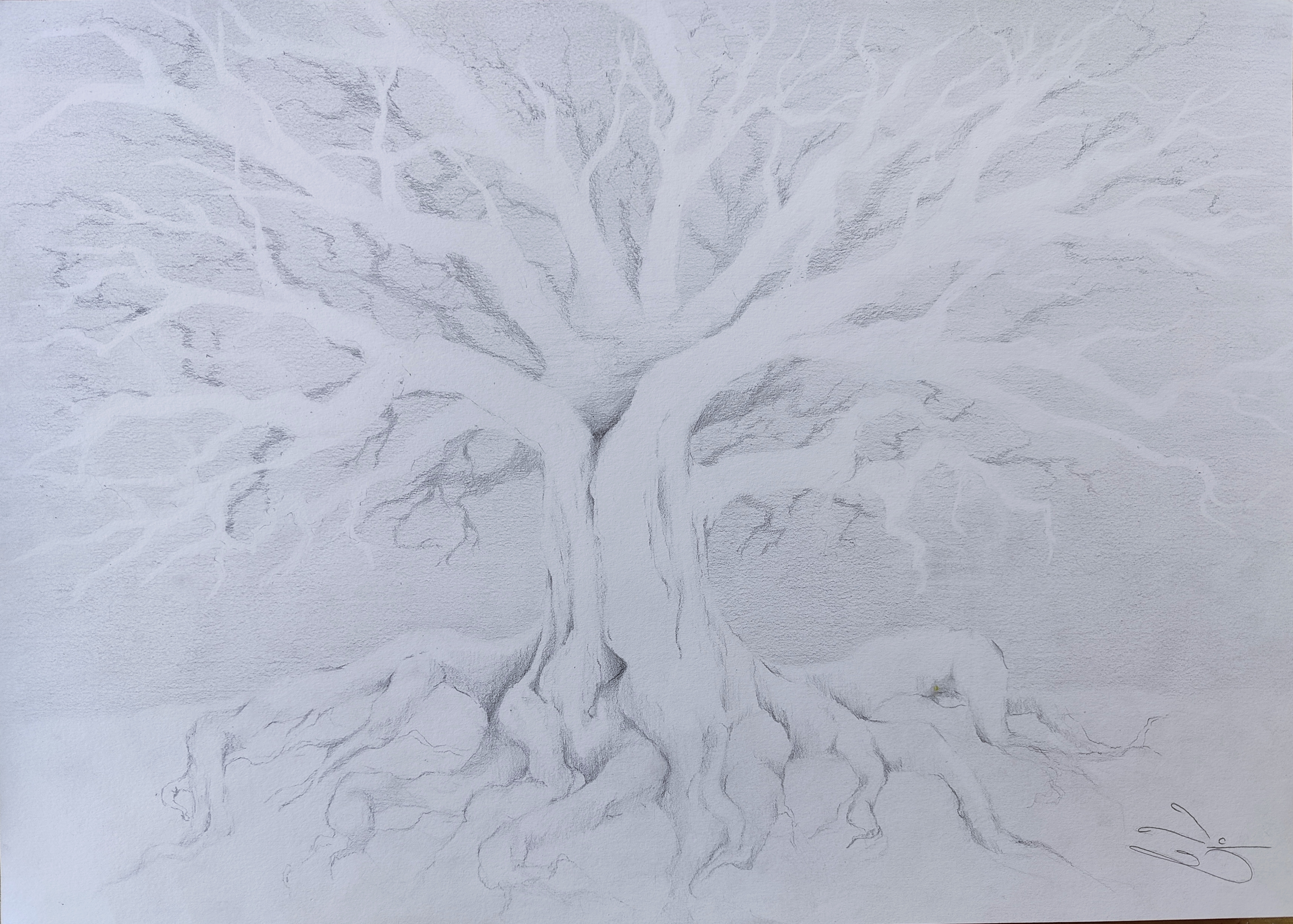 Artwork 2